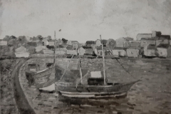 Barche in rada - 1952 - Olio su tela