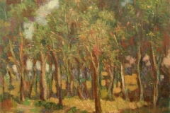 Bosco - 1968 - Olio su tela - 50 x 60